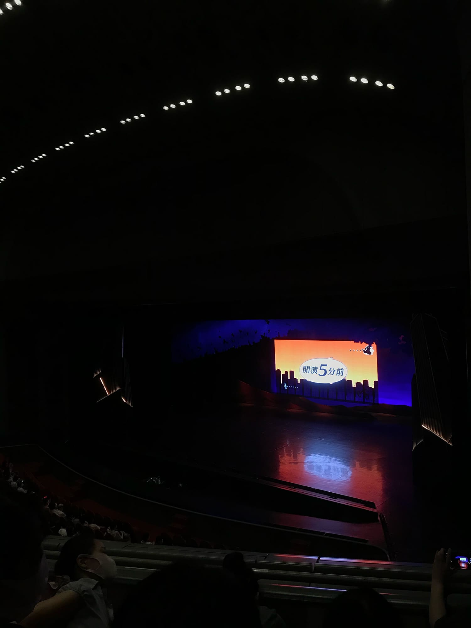 宝塚歌劇 雪組公演 CITY HUNTER -盗まれたXYZ- Fire Fever!