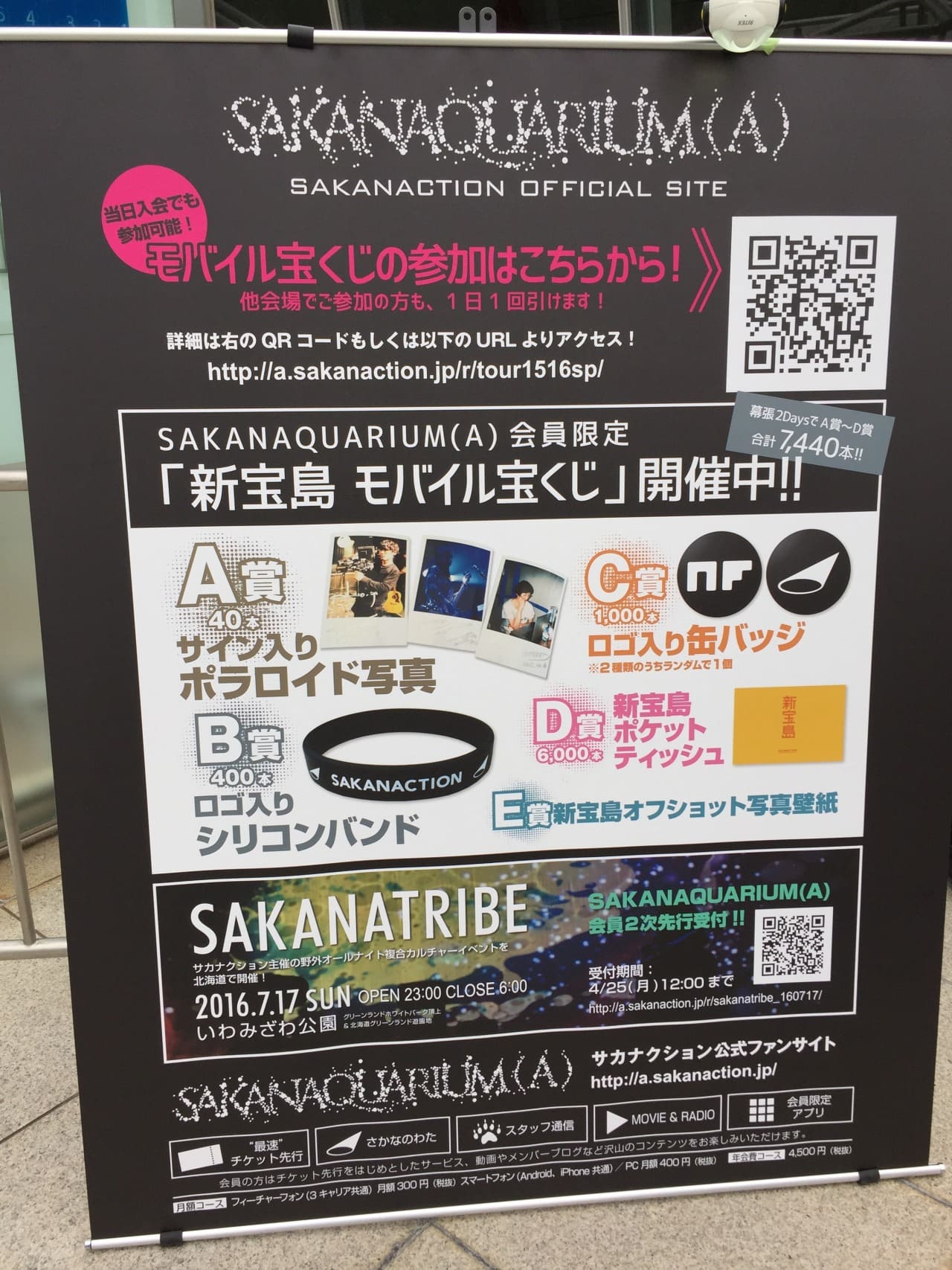 サカナクション SAKANAQUARIUM 2015-2016 NF Records launch tour