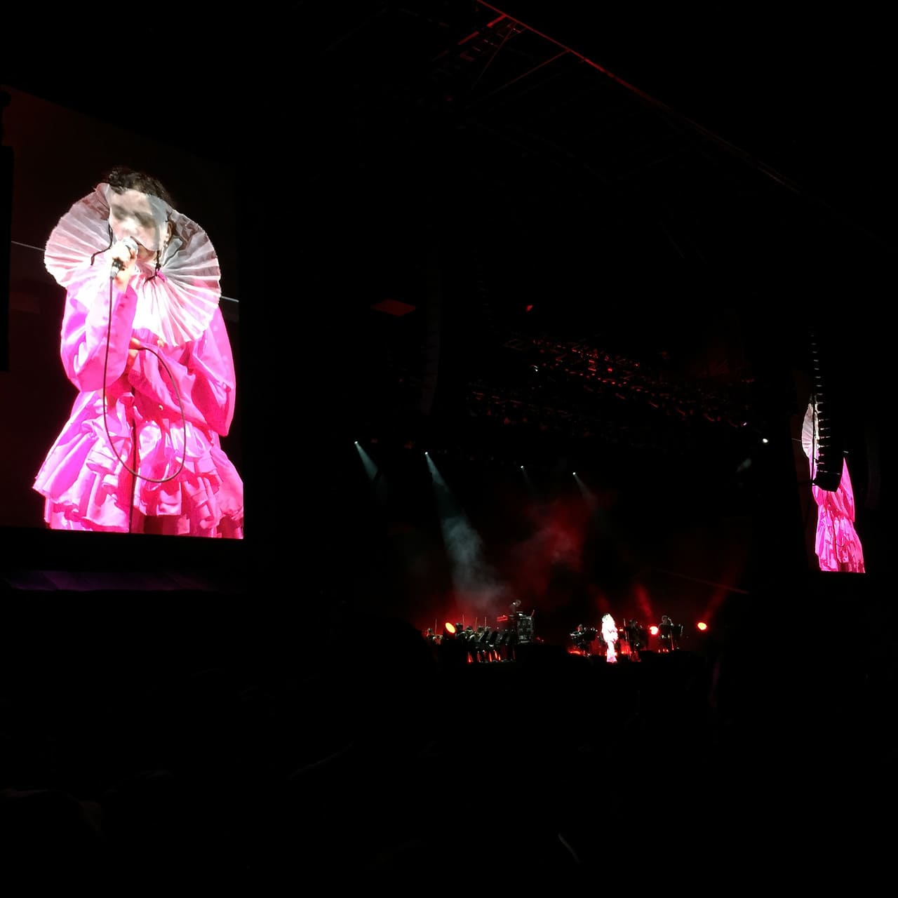 Björk FUJI ROCK FESTIVAL ’17 – GREEN STAGE