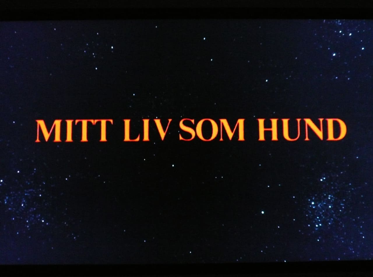 マイライフ・アズ・ア・ドッグ Mitt Liv Som Hund