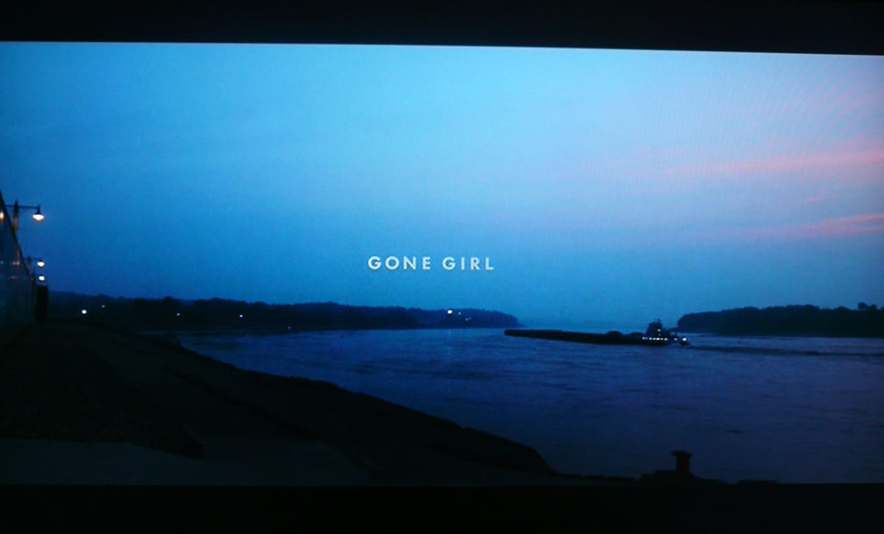 ゴーン・ガール Gone Girl