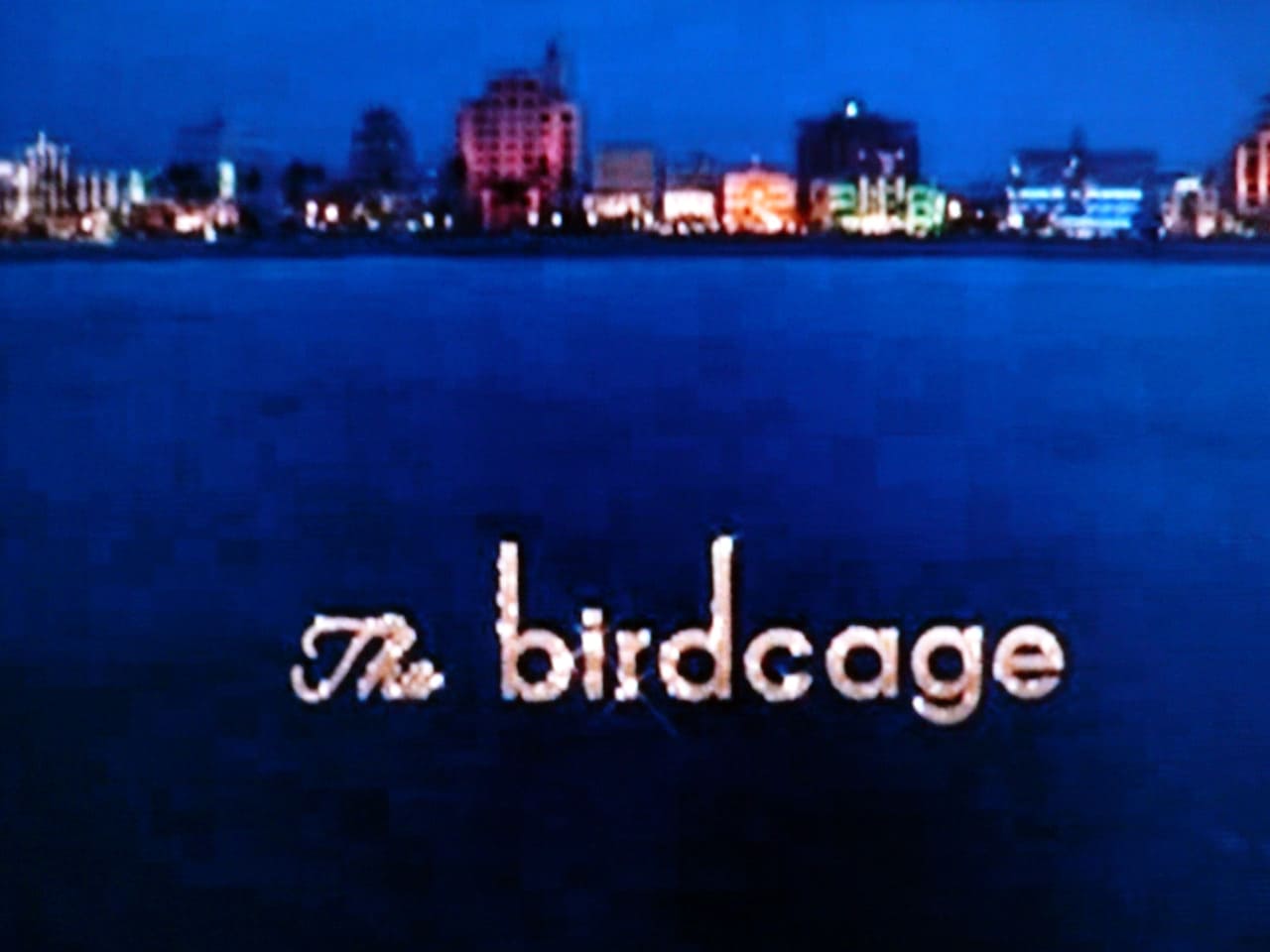 バードケージ The Birdcage