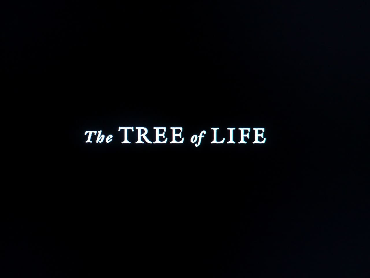 ツリー・オブ・ライフ The Tree of Life