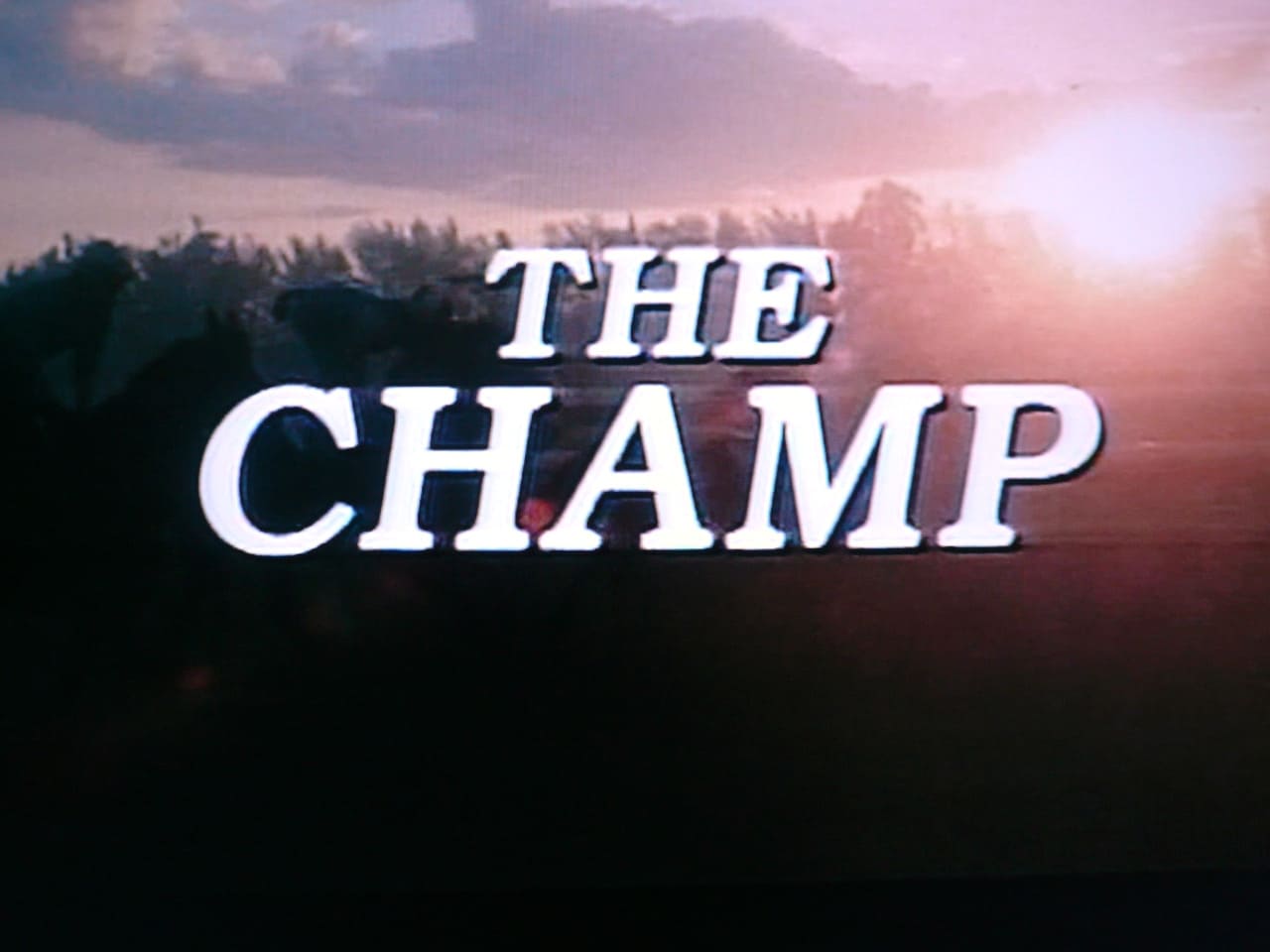 チャンプ The Champ