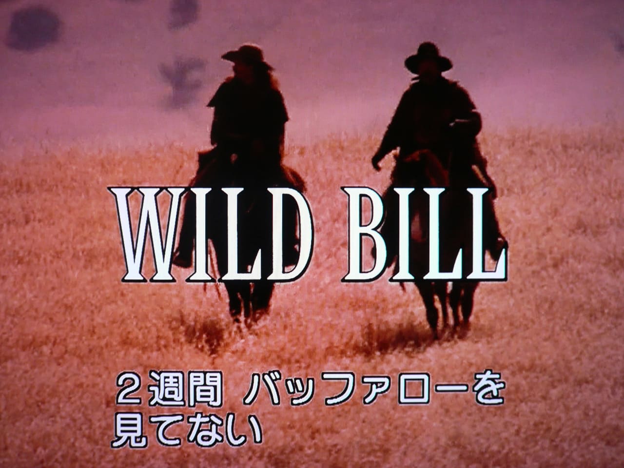 ワイルド・ビル Wild Bill