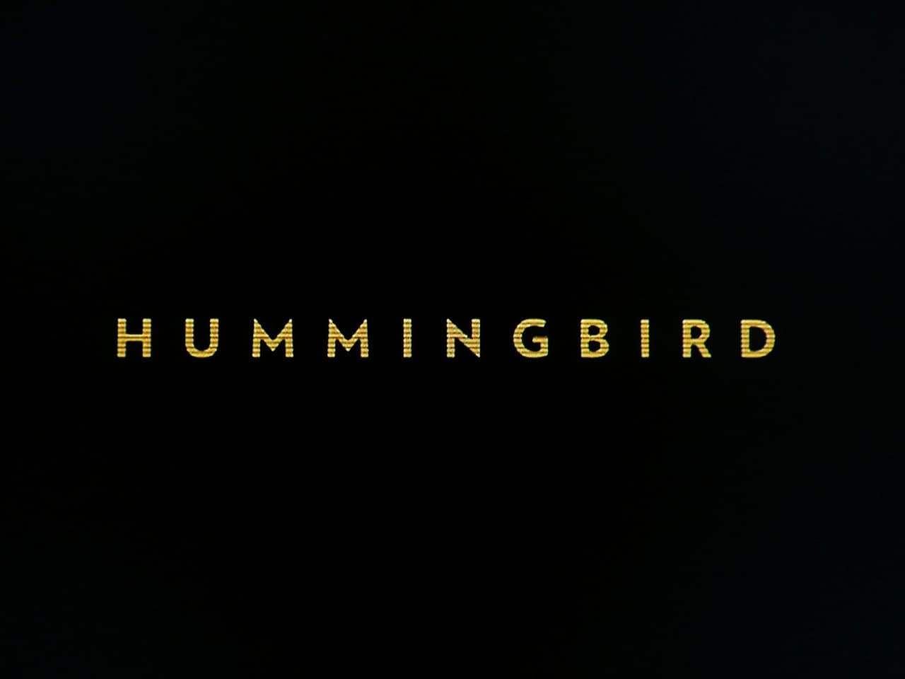 ハミングバード Hummingbird