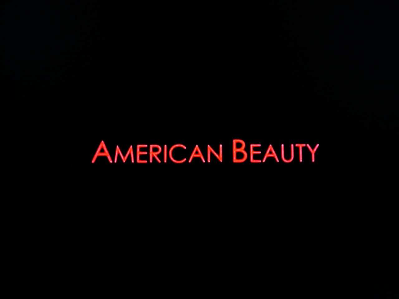 アメリカン・ビューティー American Beauty