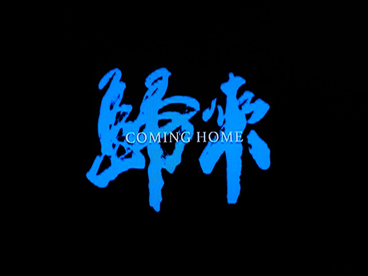 妻への家路 歸來 Coming Home