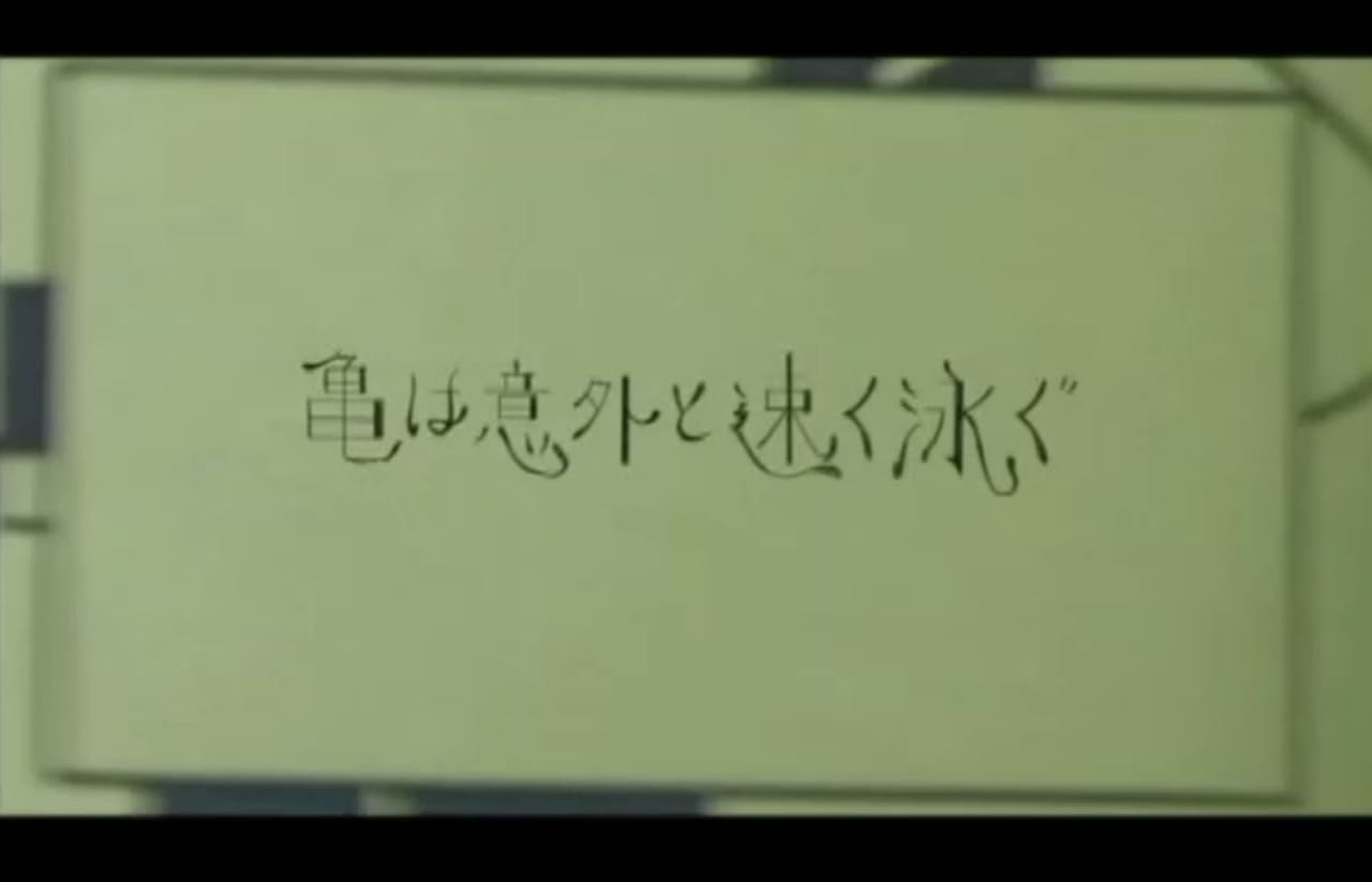 亀は意外と速く泳ぐ