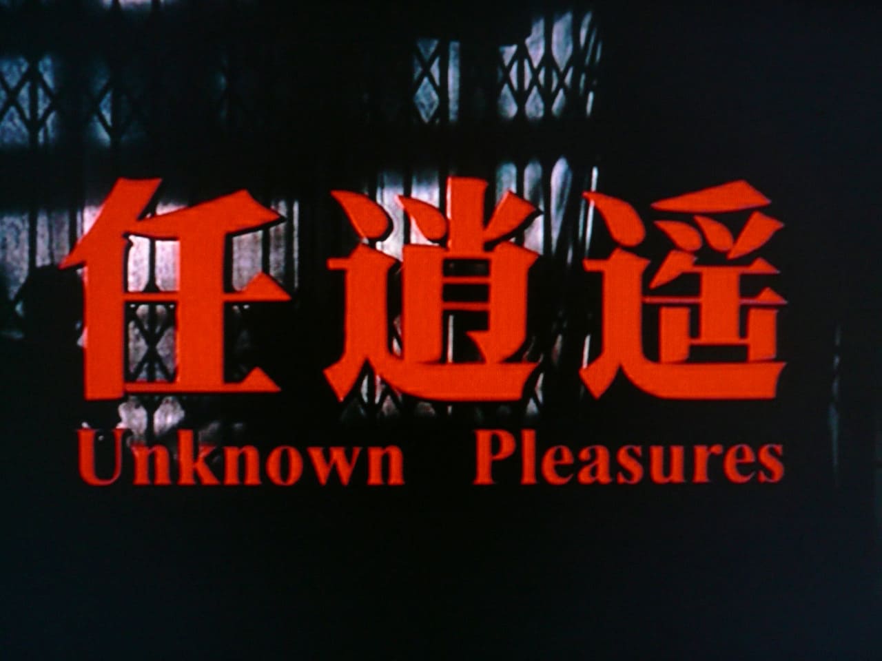 青の稲妻 任逍遥 Unknown Pleasures