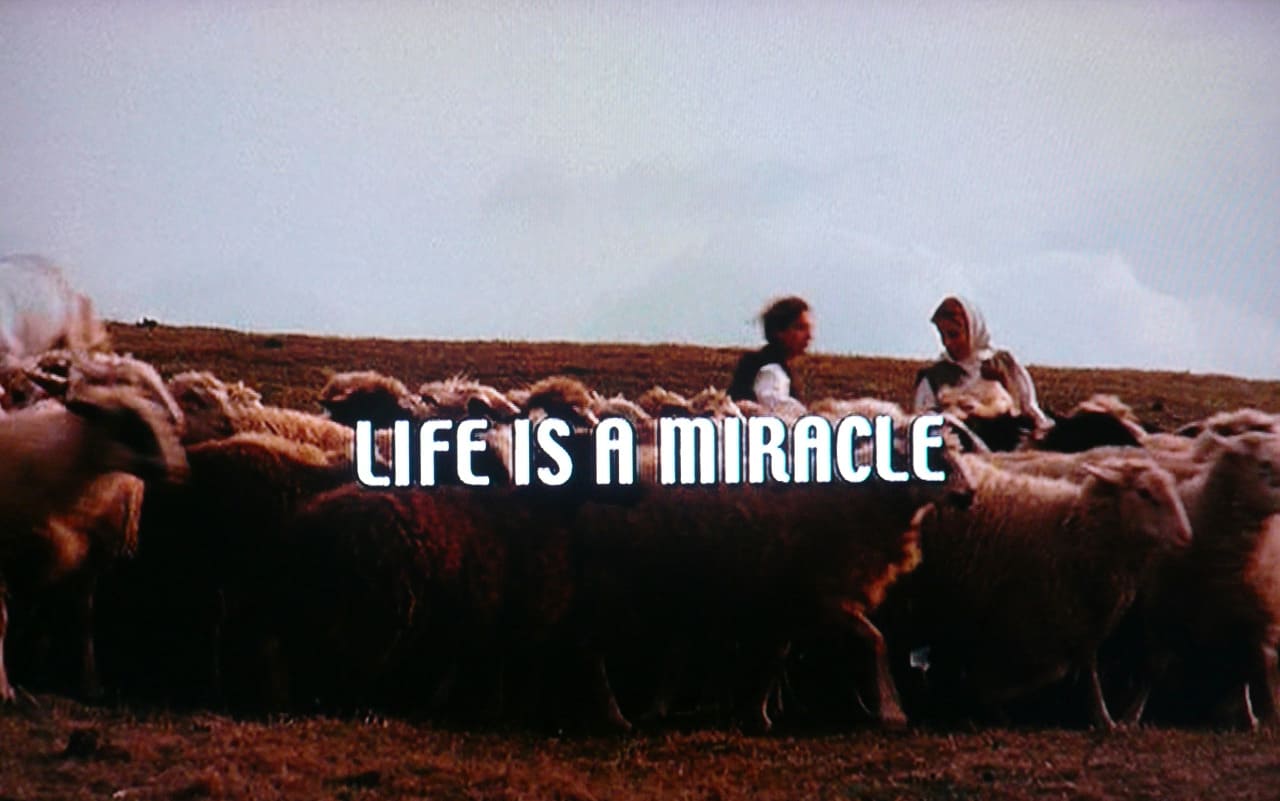 ライフ・イズ・ミラクル Life Is a Miracle