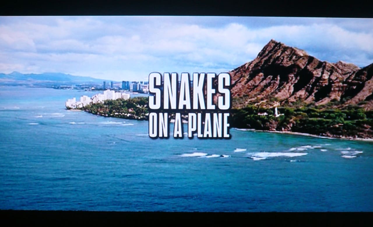 スネーク・フライト Snakes on a Plane