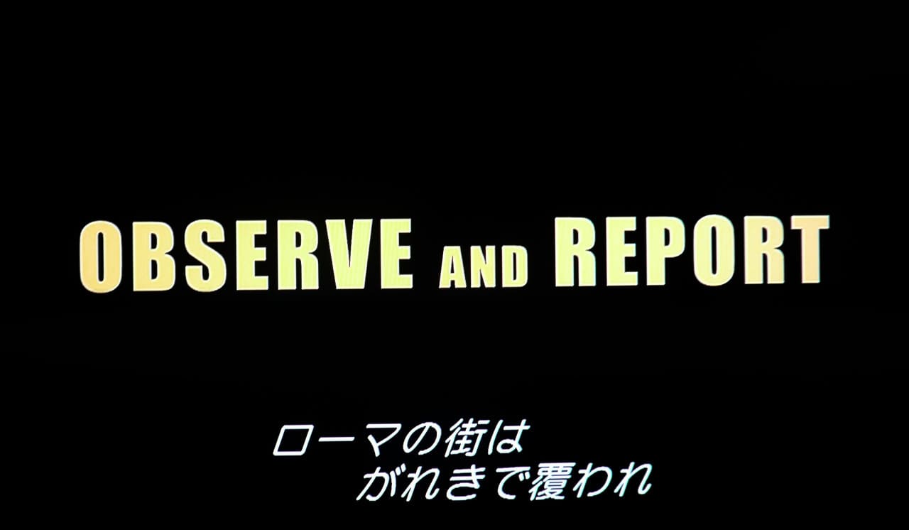 オブザーブ・アンド・レポート Observe and Report