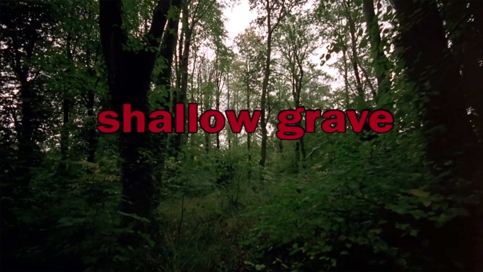 シャロウ・グレイブ Shallow Grave