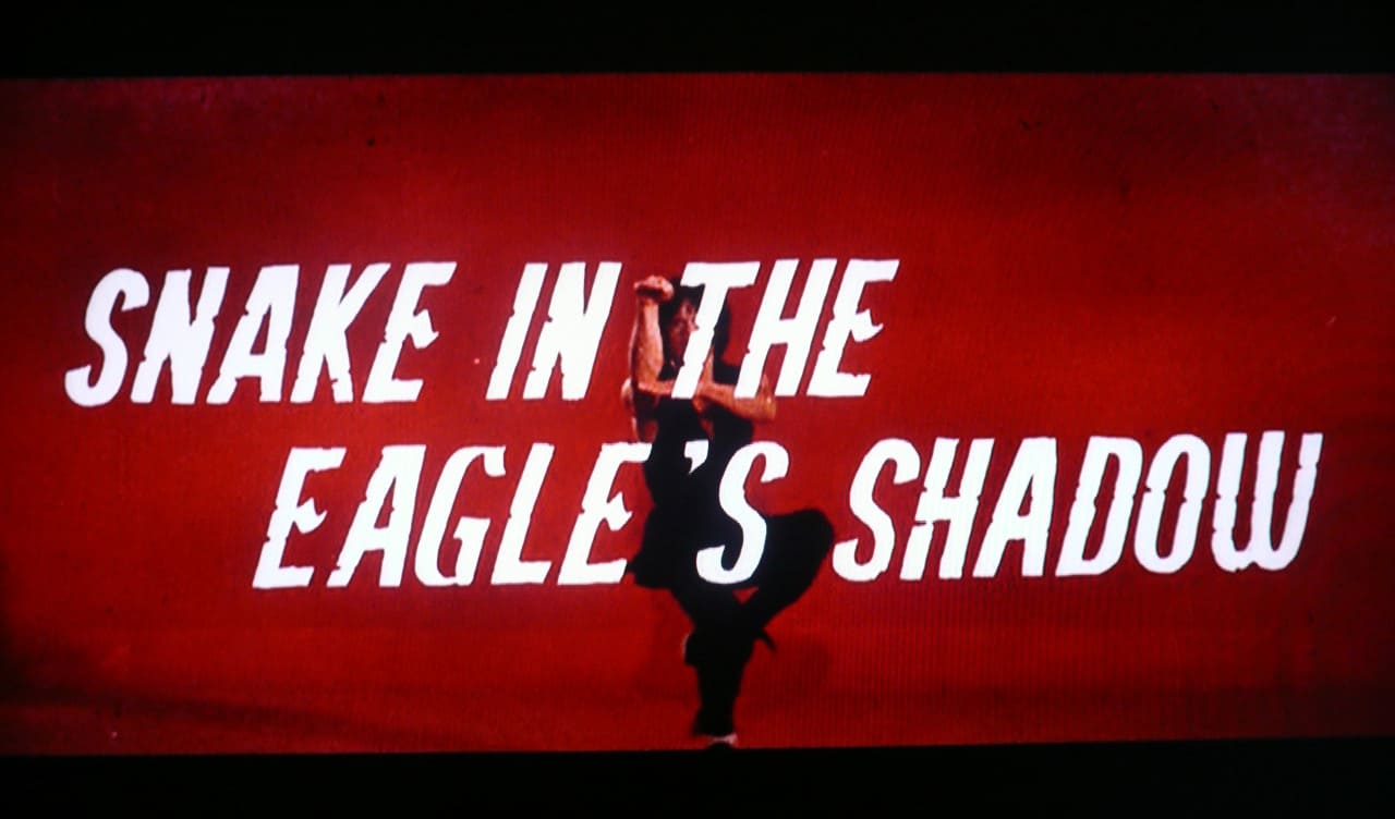 蛇拳 蛇形刁手 Snake in the Eagle’s Shadow