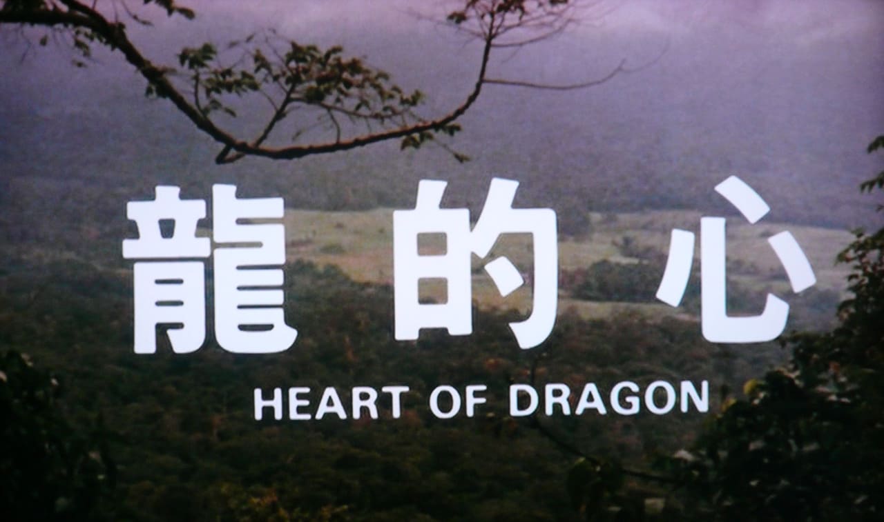 ファースト・ミッション 龍的心 Heart of Dragon