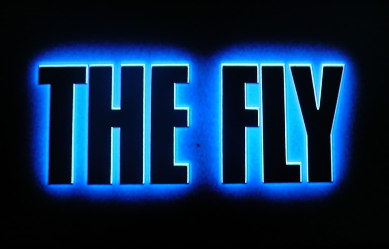 ザ・フライ The Fly