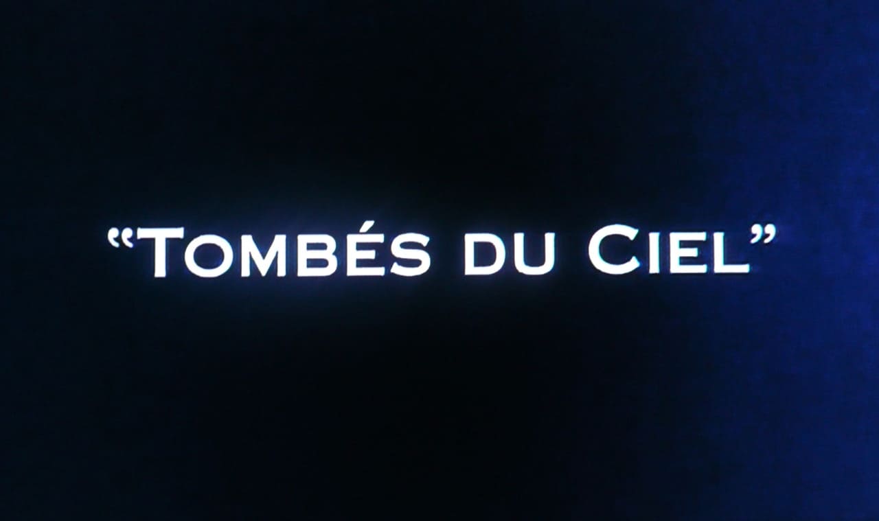 パリ空港の人々 Tombés du ciel