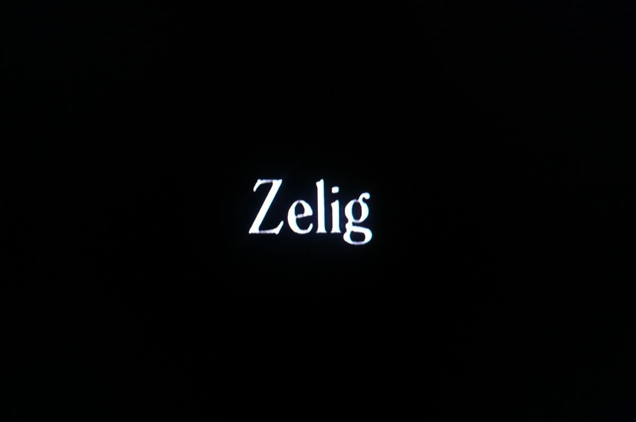 カメレオンマン Zelig