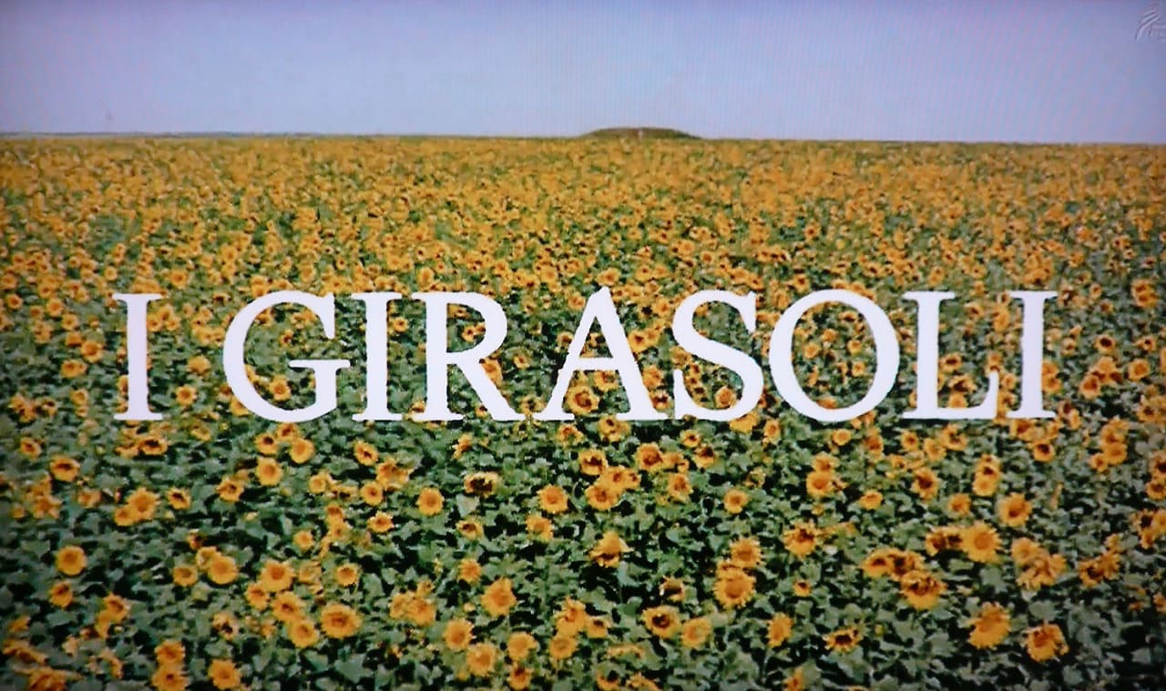 ひまわり I Girasoli