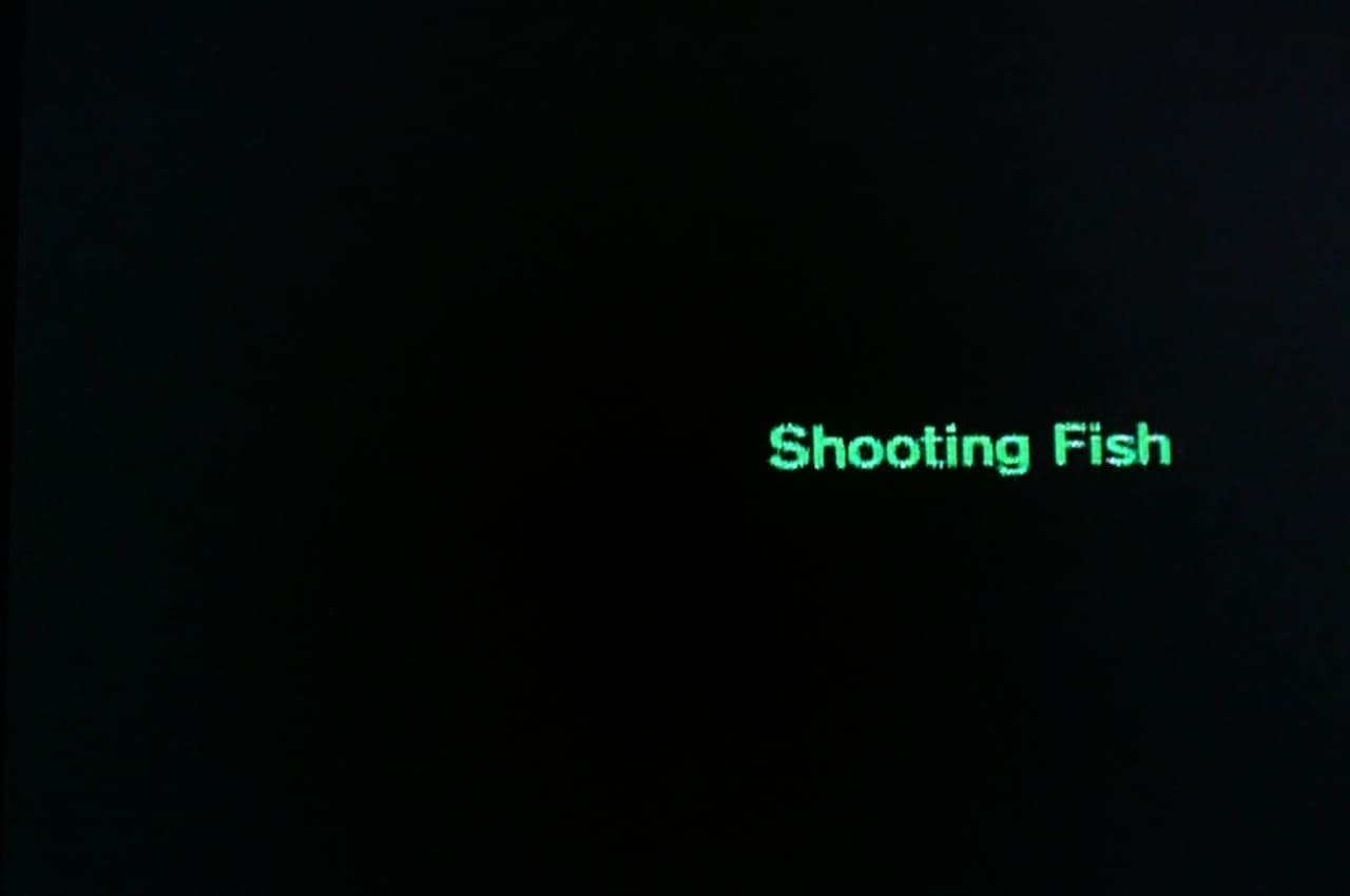 シューティング・フィッシュ Shooting Fish