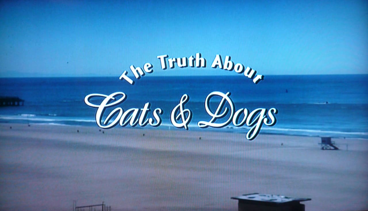 好きと言えなくて The Truth about Cats & Dogs