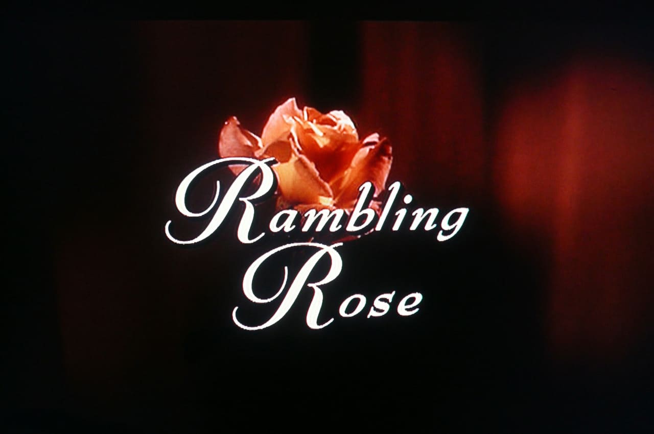 ランブリング・ローズ Rambling Rose