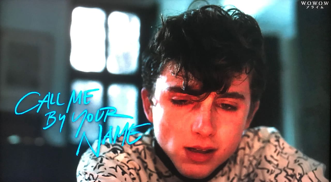 君の名前で僕を呼んで Call Me by Your Name