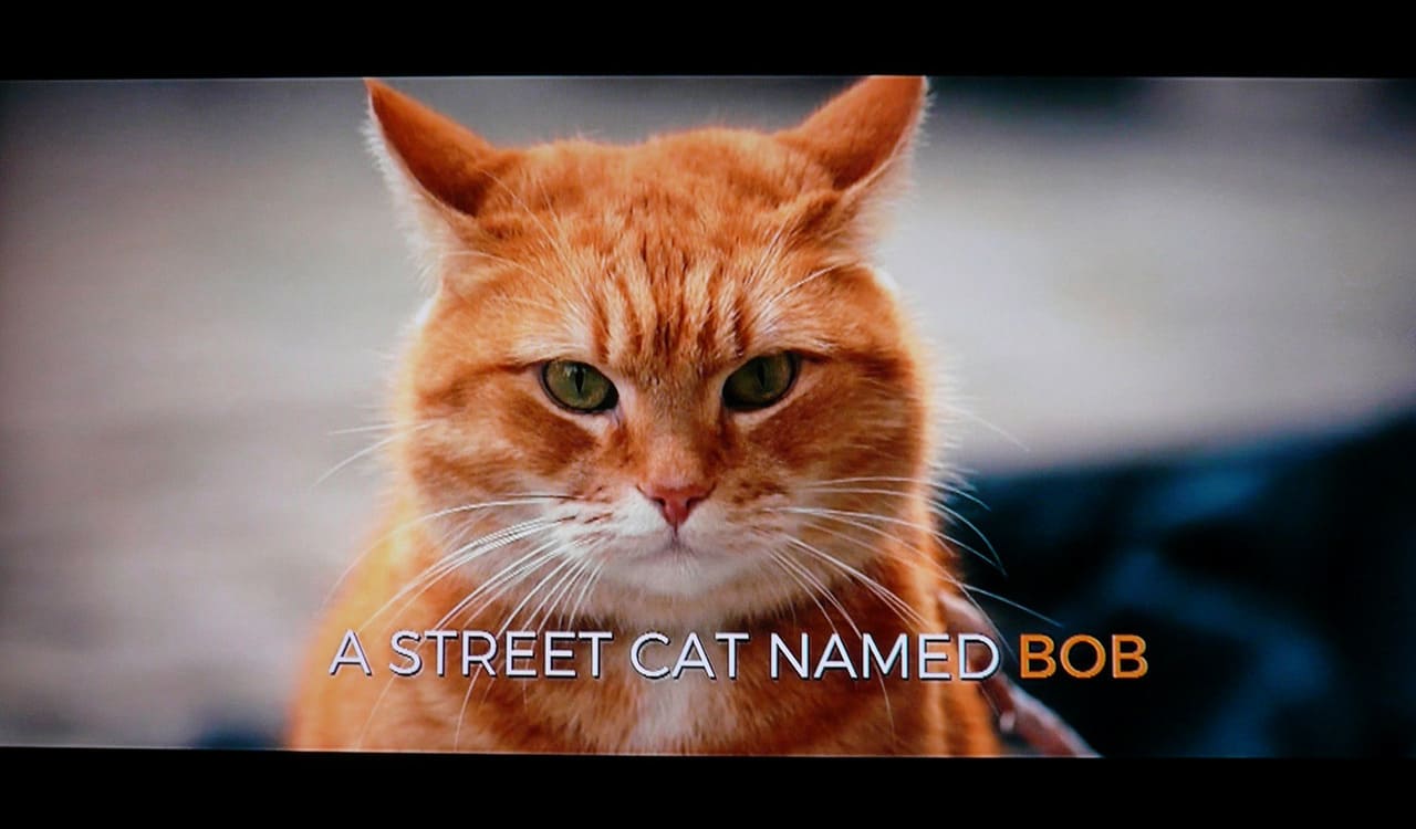 ボブという名の猫 幸せのハイタッチ A Street Cat Named Bob