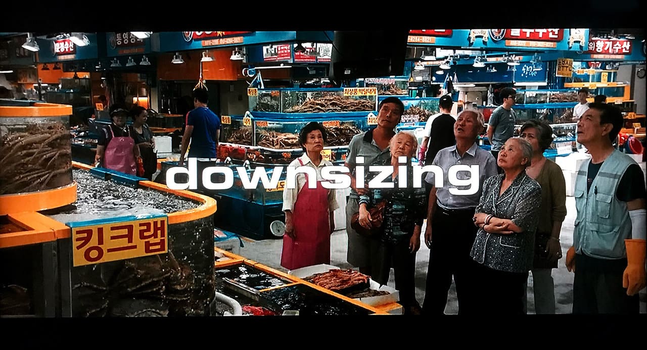 ダウンサイズ Downsizing