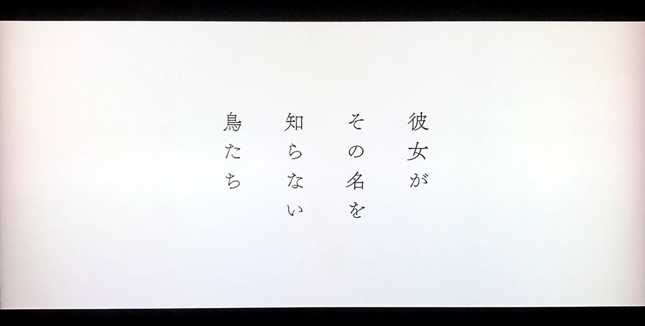 彼女がその名を知らない鳥たち