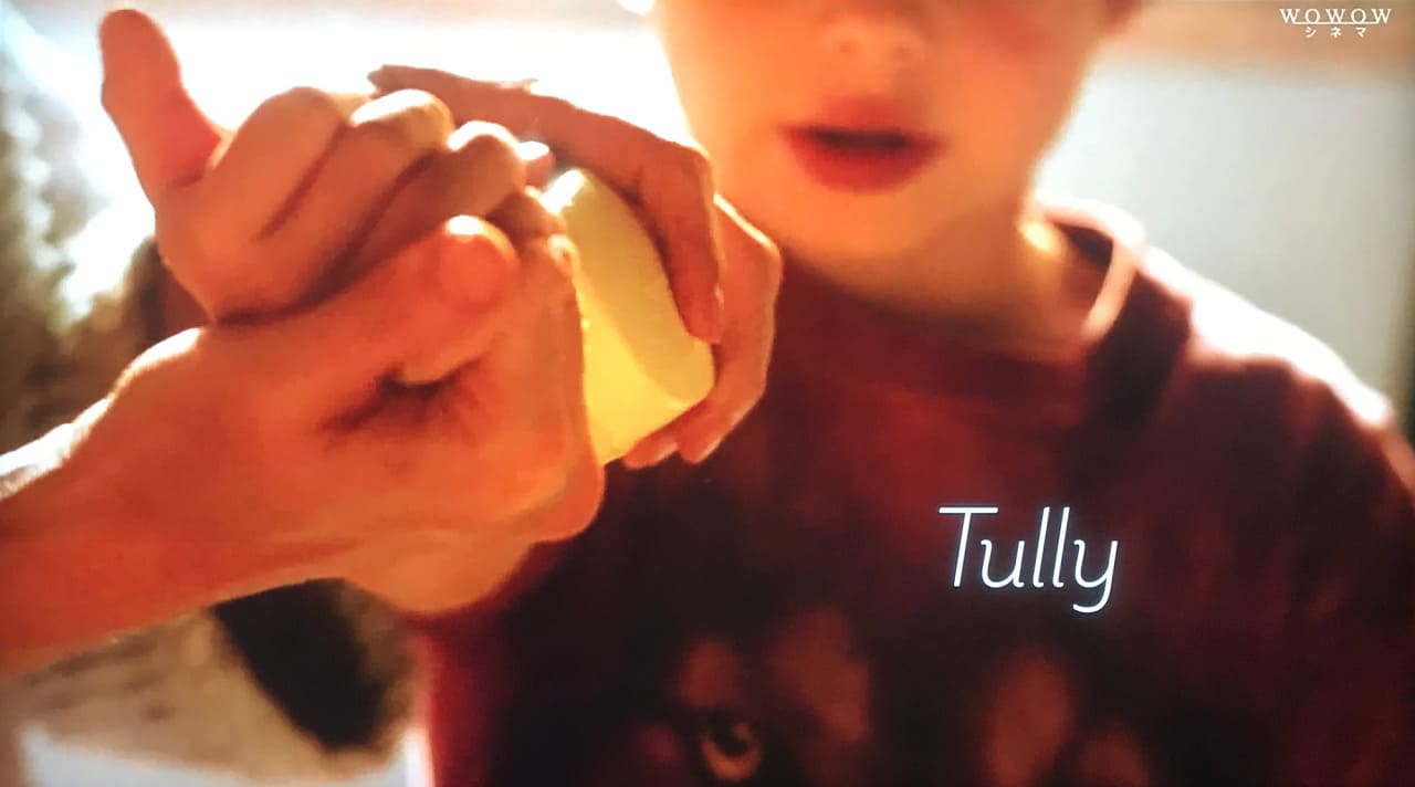 タリーと私の秘密の時間 Tully