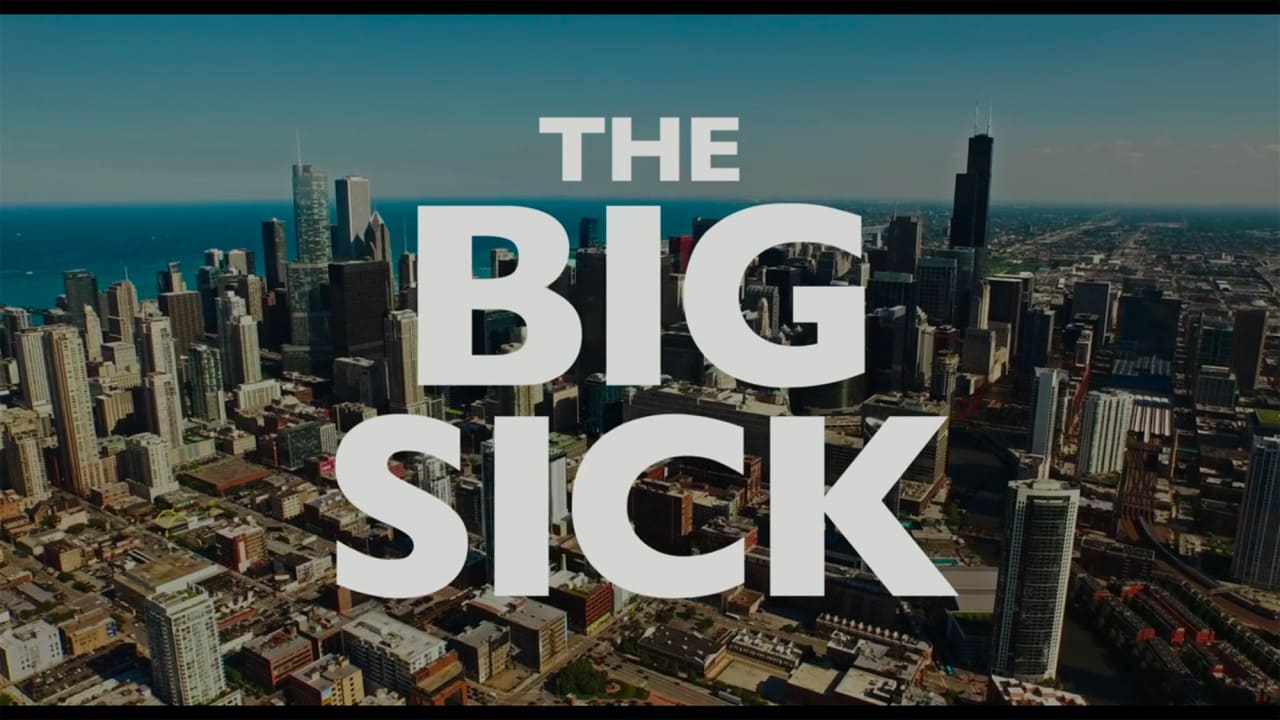 ビッグ・シック ぼくたちの大いなる目ざめ The Big Sick