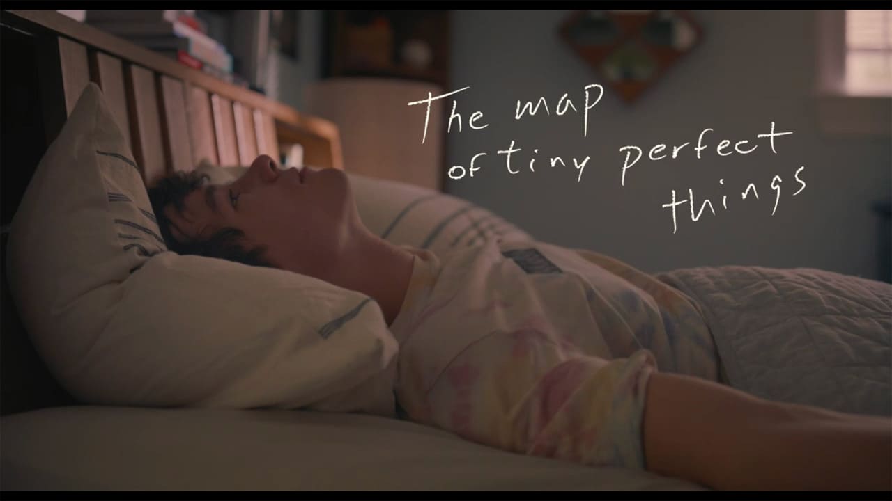 明日への地図を探して The Map of Tiny Perfect Things