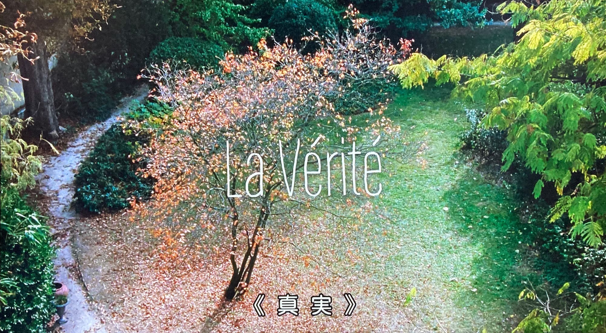 真実 La Verite