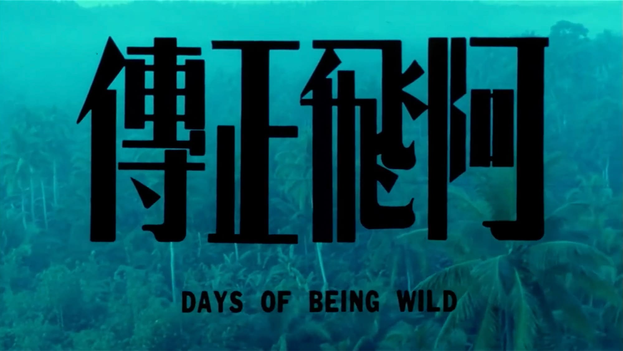 欲望の翼 阿飛正傳 Days of Being Wild