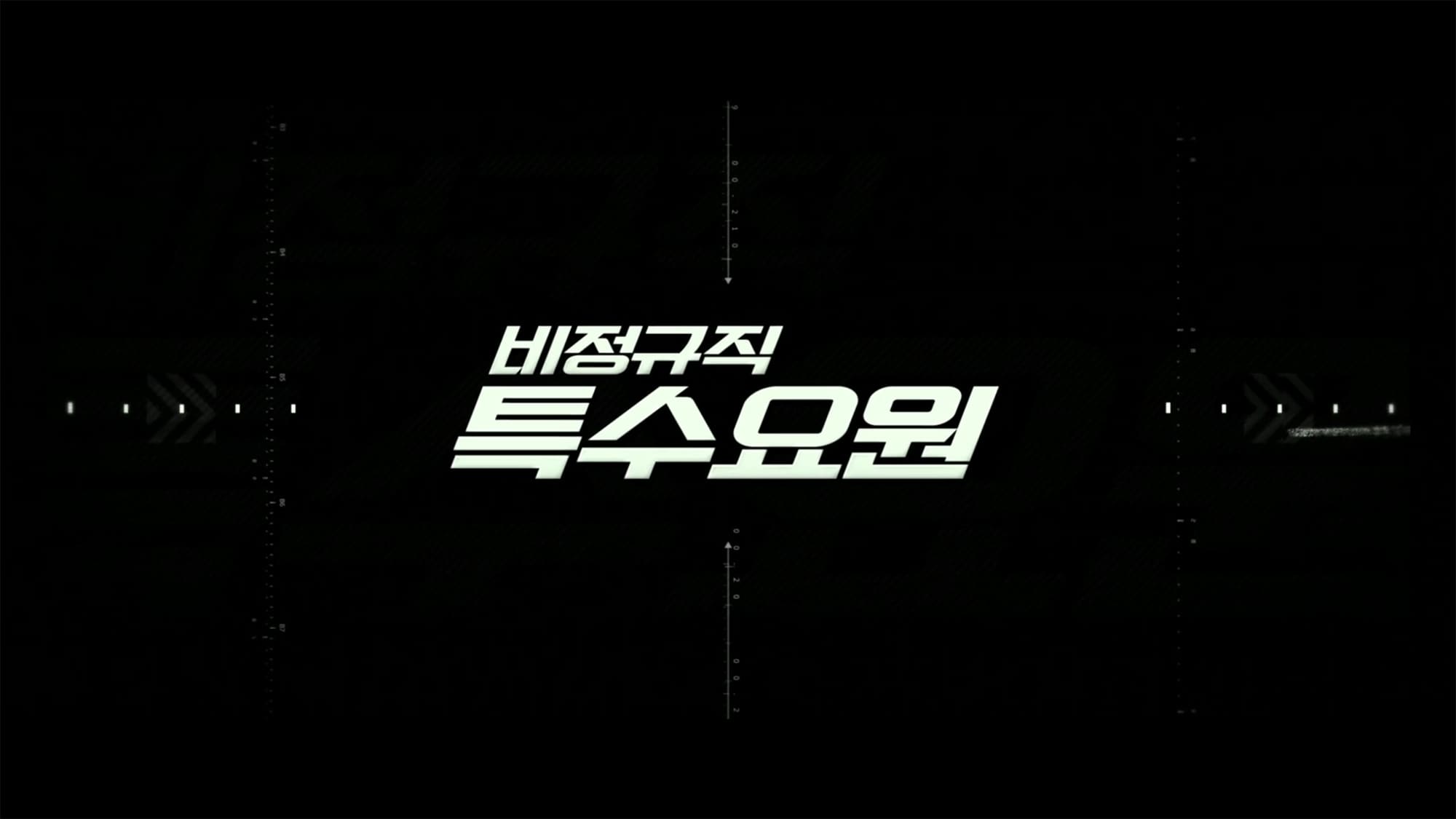 パートタイム・スパイ 비정규직 특수요원  Part-time Spy