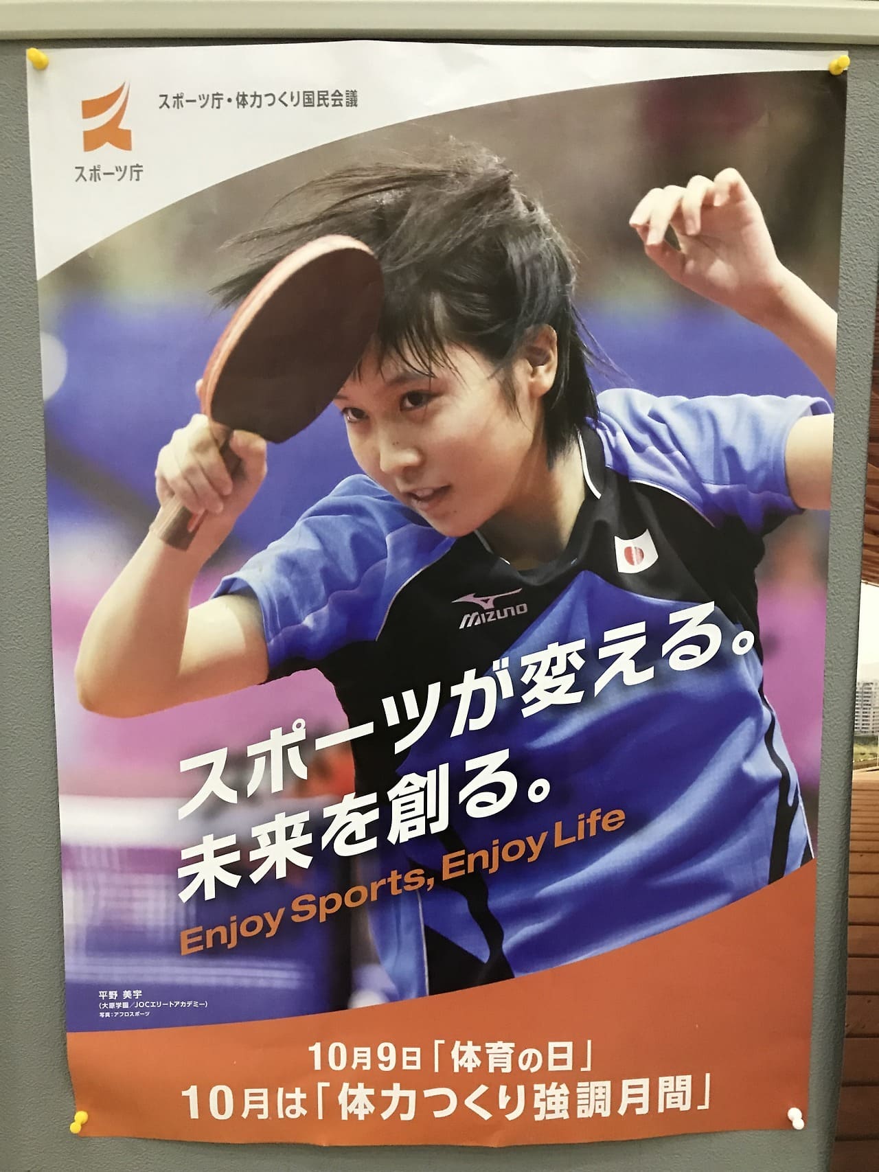 平野美宇 スポーツ庁