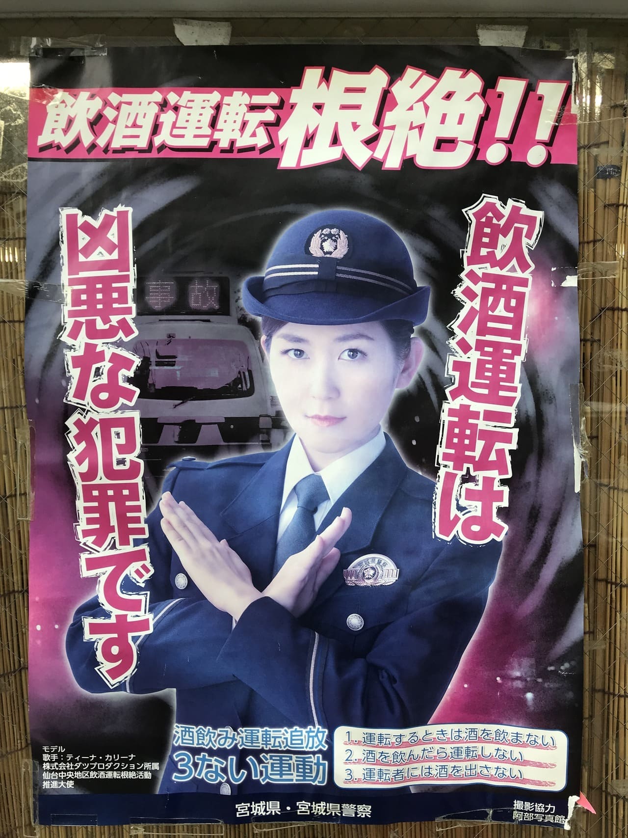 ティーナ・カリーナ 宮城県・宮城県警察