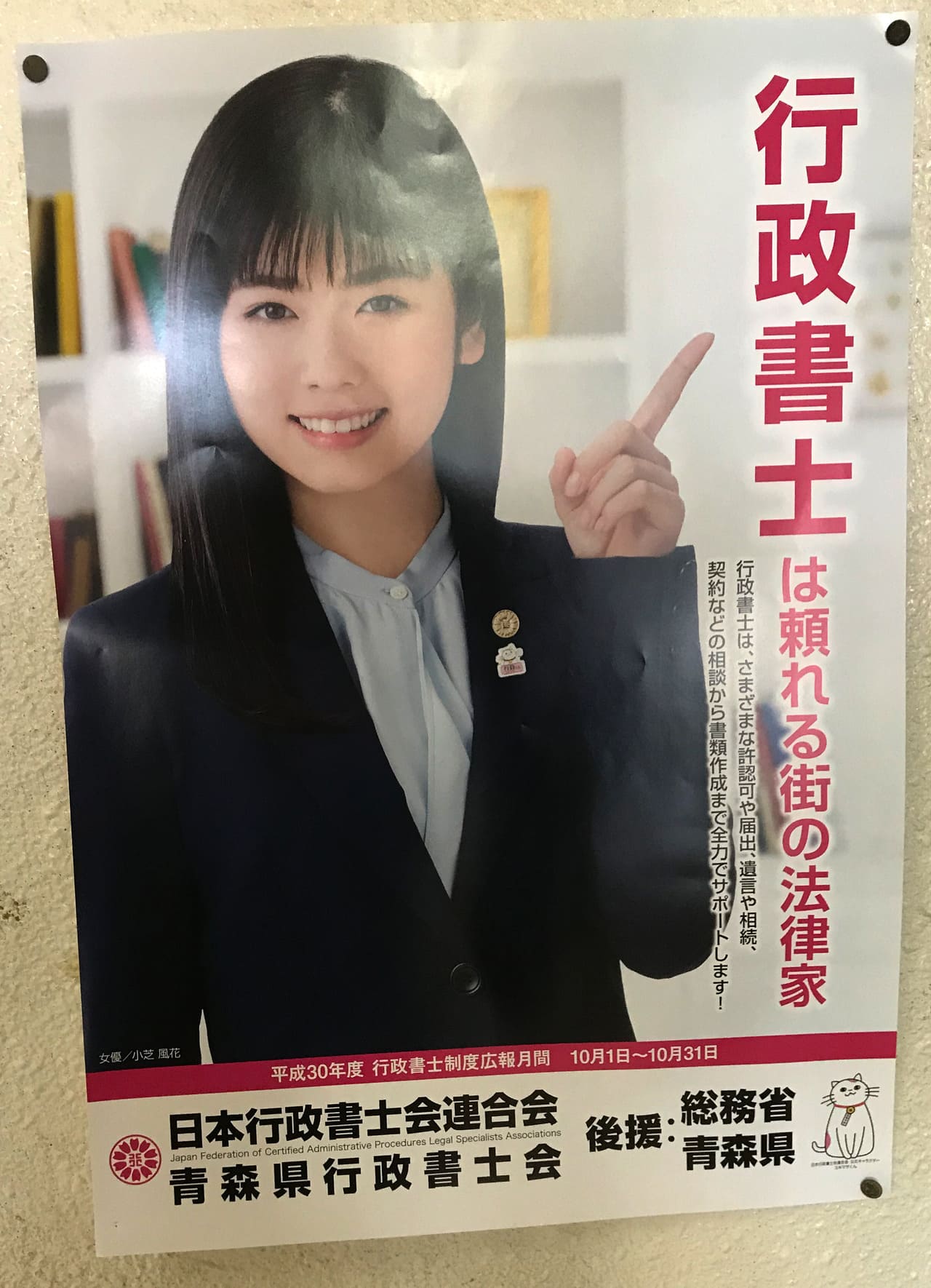 小芝風花 日本行政書士会連合会