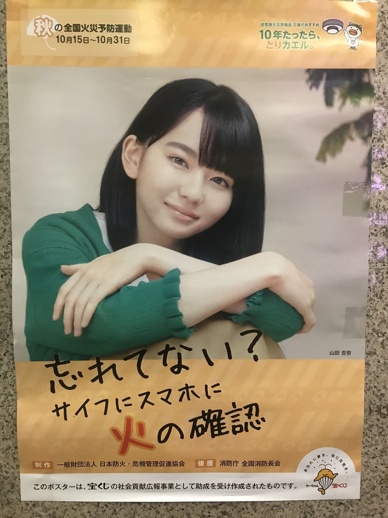 山田杏奈 日本防火・危機管理促進協会／消防庁・全国消防長会