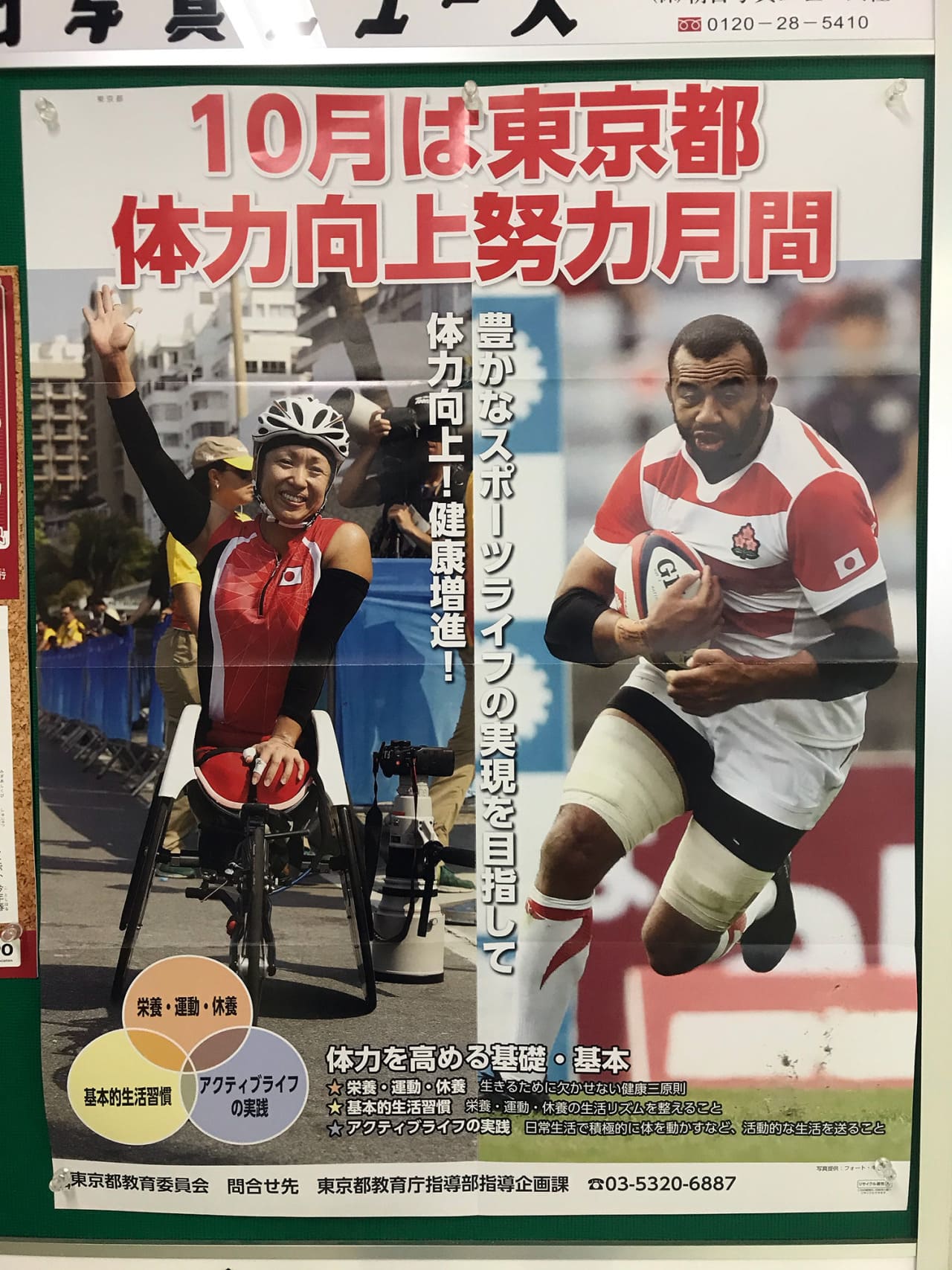 リーチ・マイケル　土田和歌子 東京都教育委員会