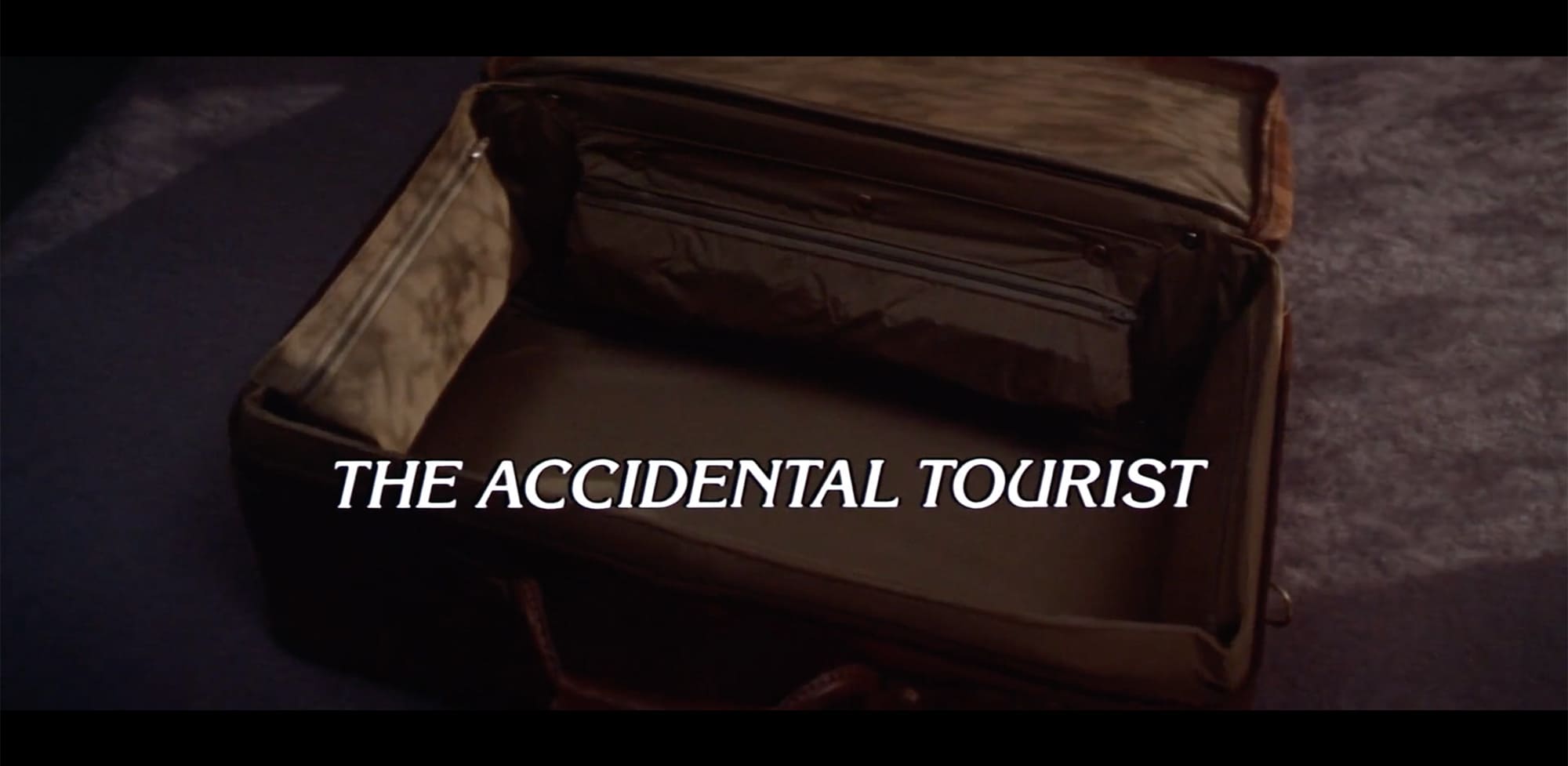 偶然の旅行者 The Accidental Tourist