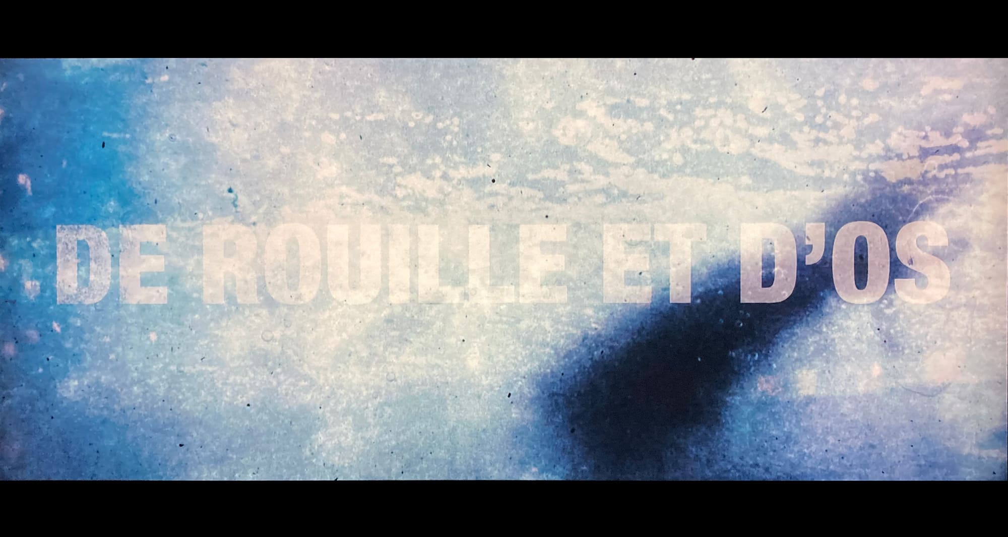 君と歩く世界 De Rouille et d’Os