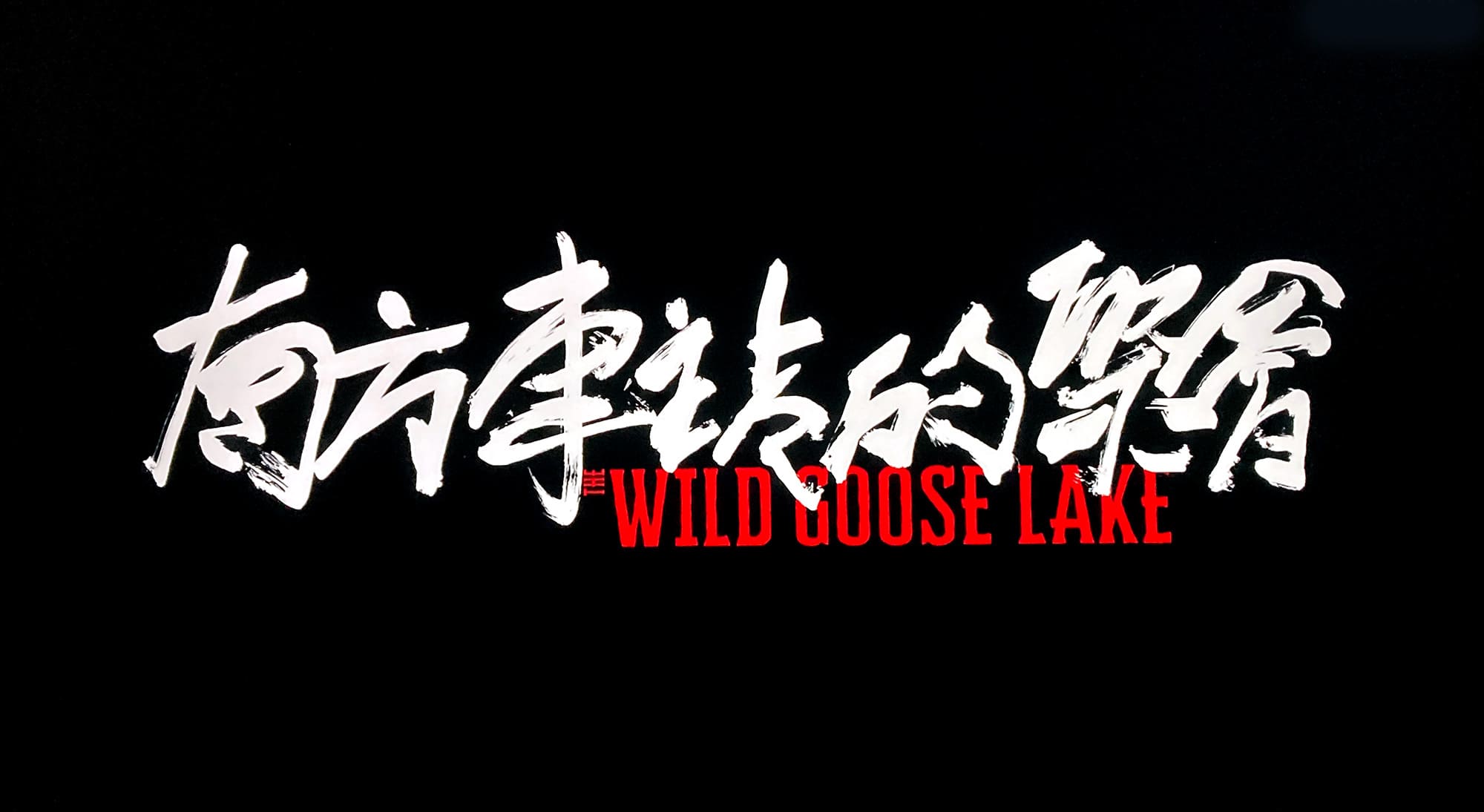 鵞鳥湖の夜 南方車站的聚会 The Wild Goose Lake