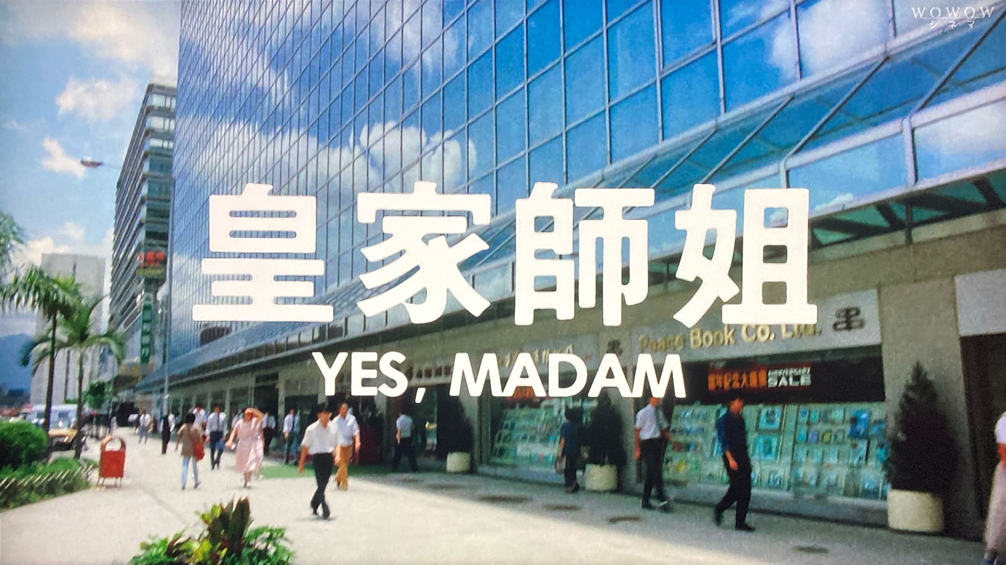 レディ・ハード 香港大捜査線 皇家師姐 Yes, Madam