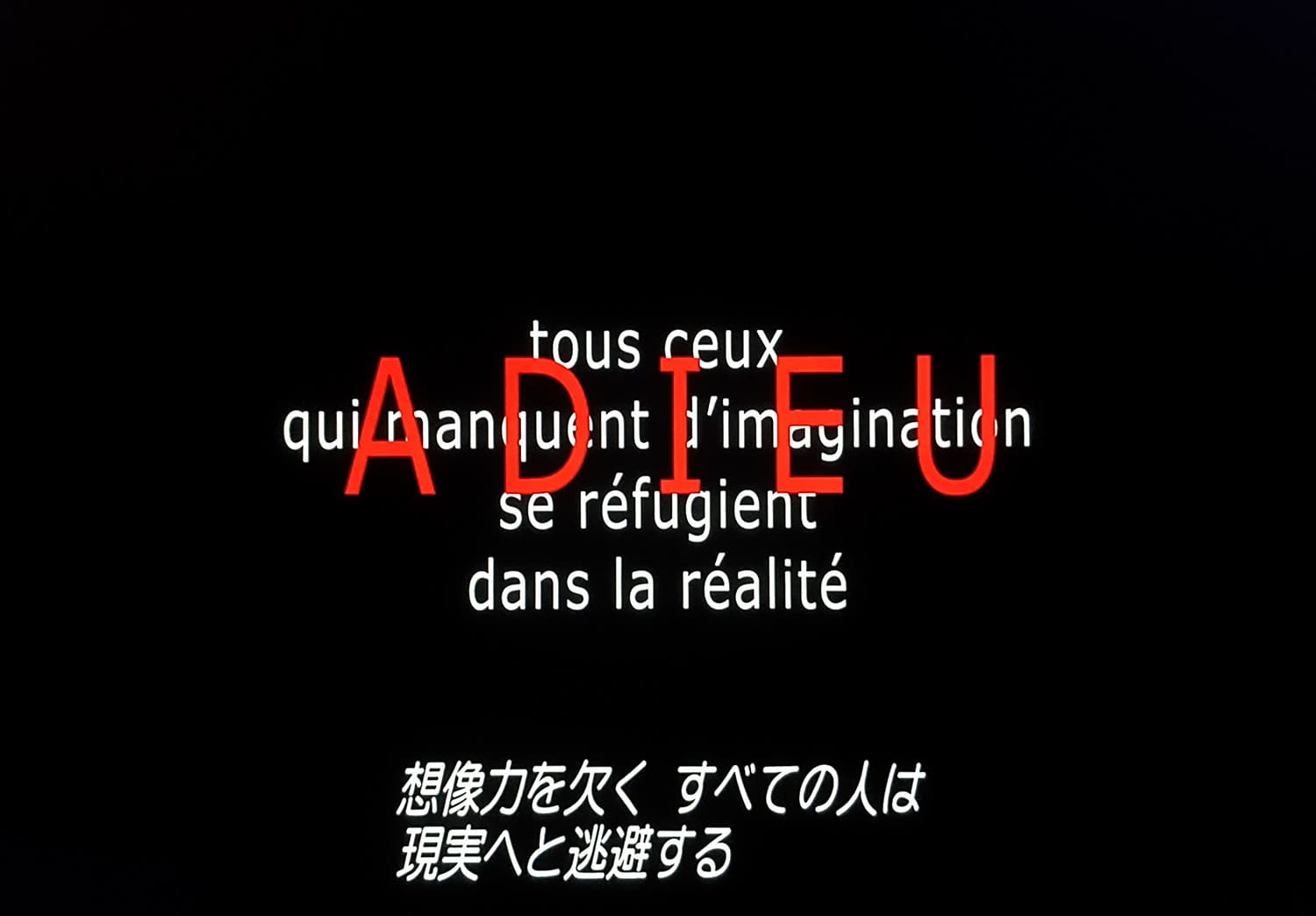 さらば、愛の言葉よ Adieu au langage