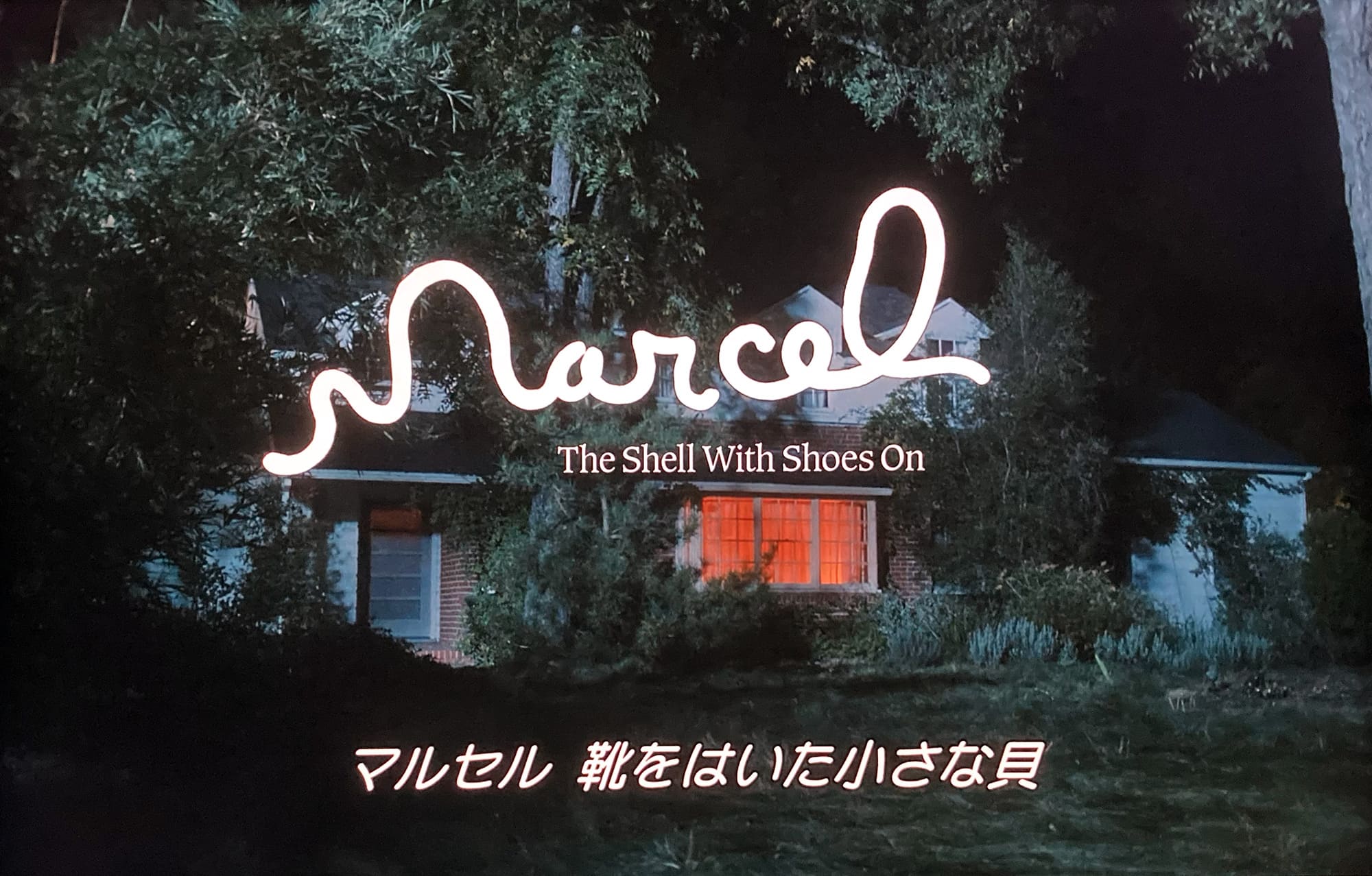 マルセル 靴をはいた小さな貝 Marcel the Shell with Shoes On