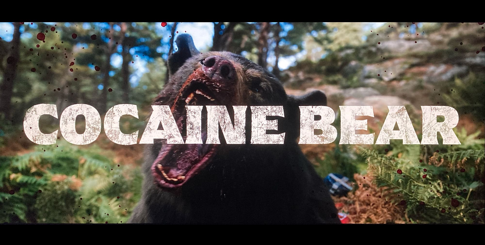 コカイン・ベア Cocaine Bear