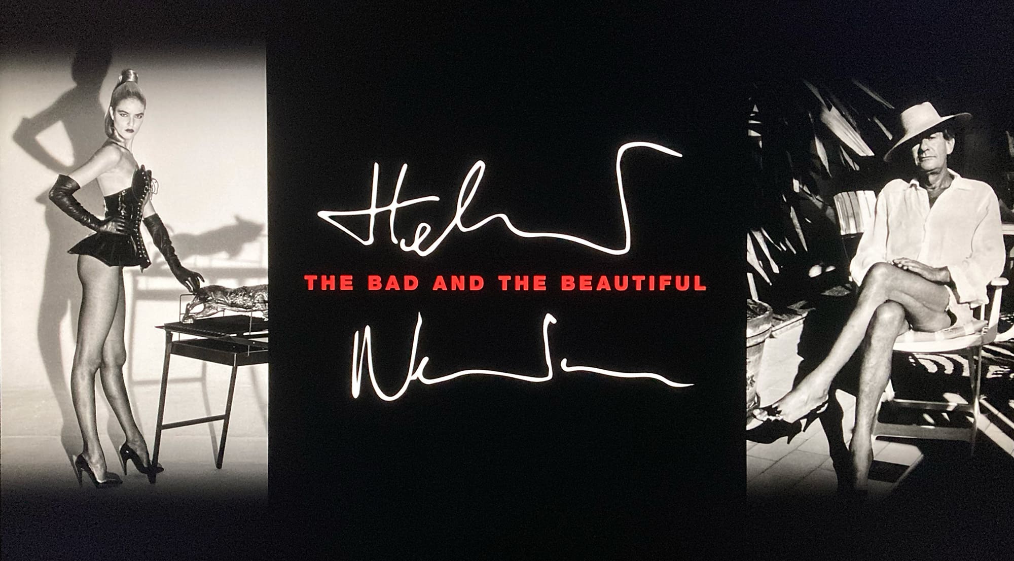 ヘルムート・ニュートンと12人の女たち Helmut Newton – The Bad and the Beautiful